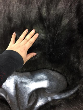 Illustration for article titled Tokyo's Giant Cat Billboard Is Big Enough to Pet
